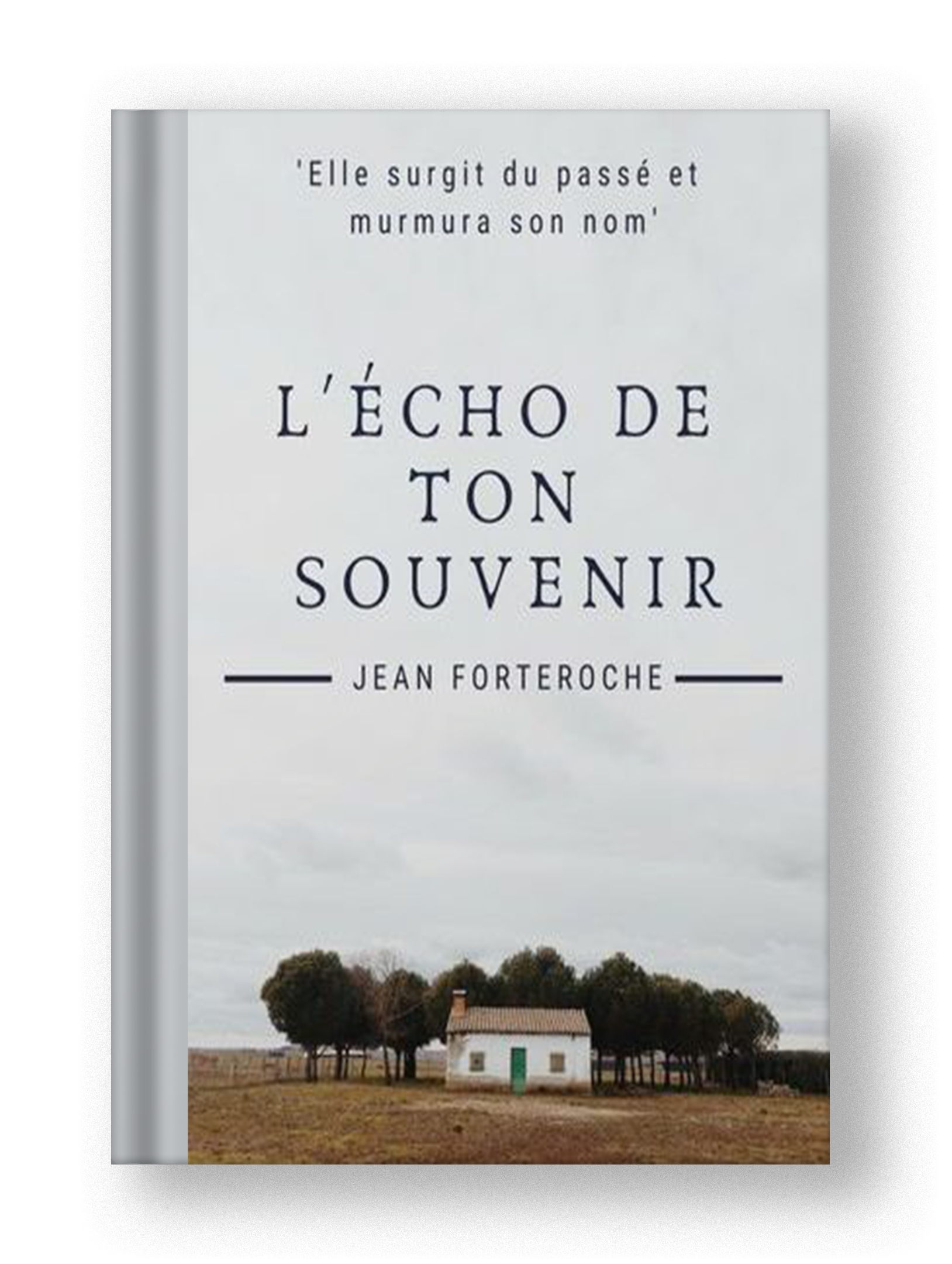 Roman - L'écho de ton souvenir